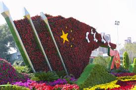 句容城市绿化树木图片