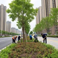 2026美加墨世界杯官网 张家港南京市绿化园林